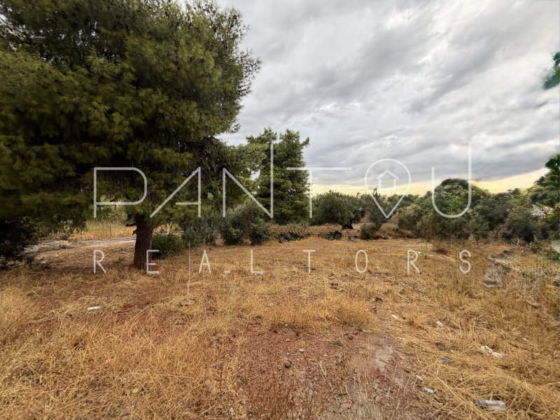 Land in Chalandri, Attica, Greece 1 - 18947706