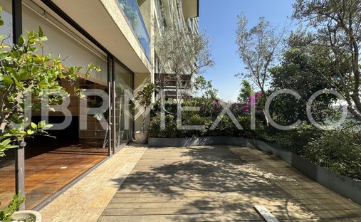 Apartment in Mexico City, Mexico 1