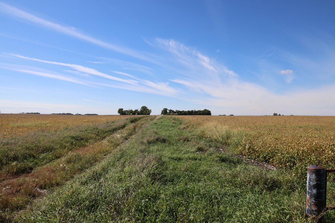 Land in Hector, Minnesota, United States 1 - 18954041