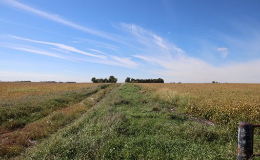 Land in Hector, Minnesota, United States 1
