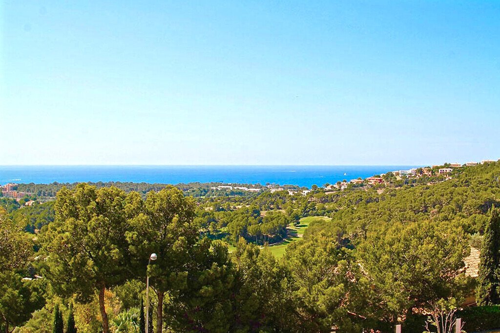 Villa in Calvia, Balearic Islands, Spain 3 - 18950058
