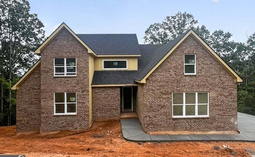 House in Baldwin, Georgia, United States 1