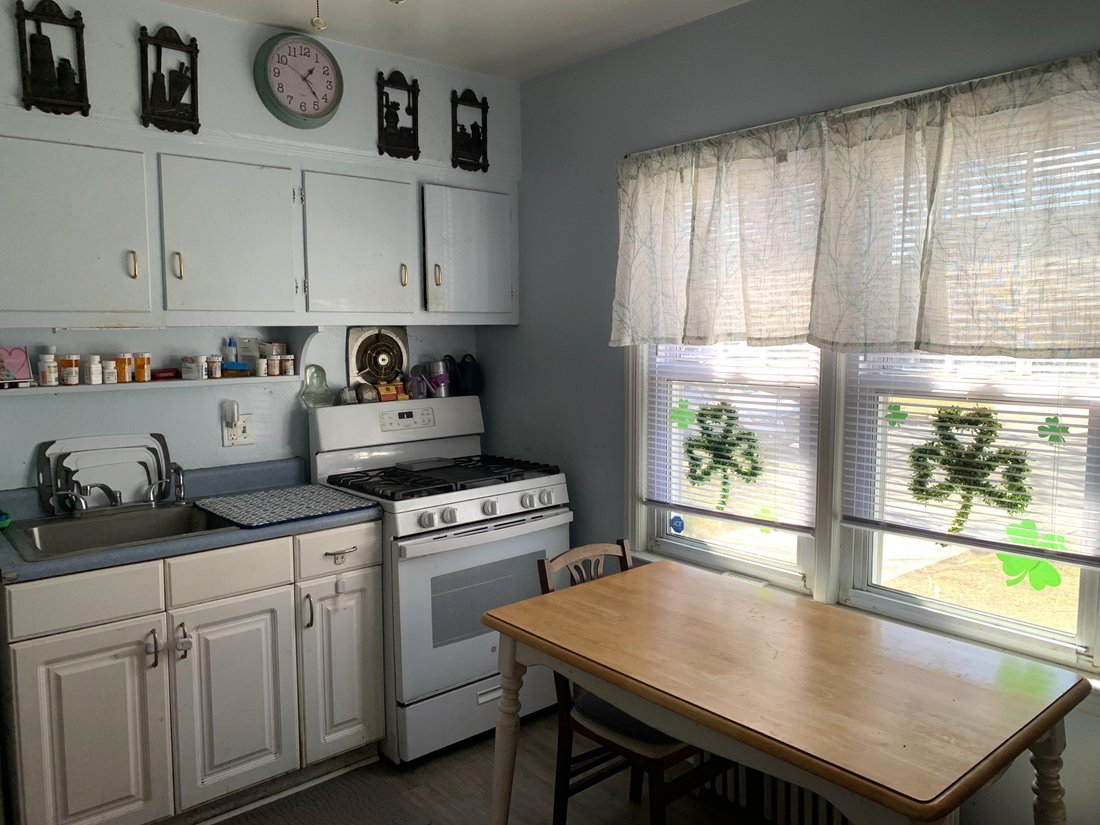House in New Hyde Park, New York, United States 3 - 18950813
