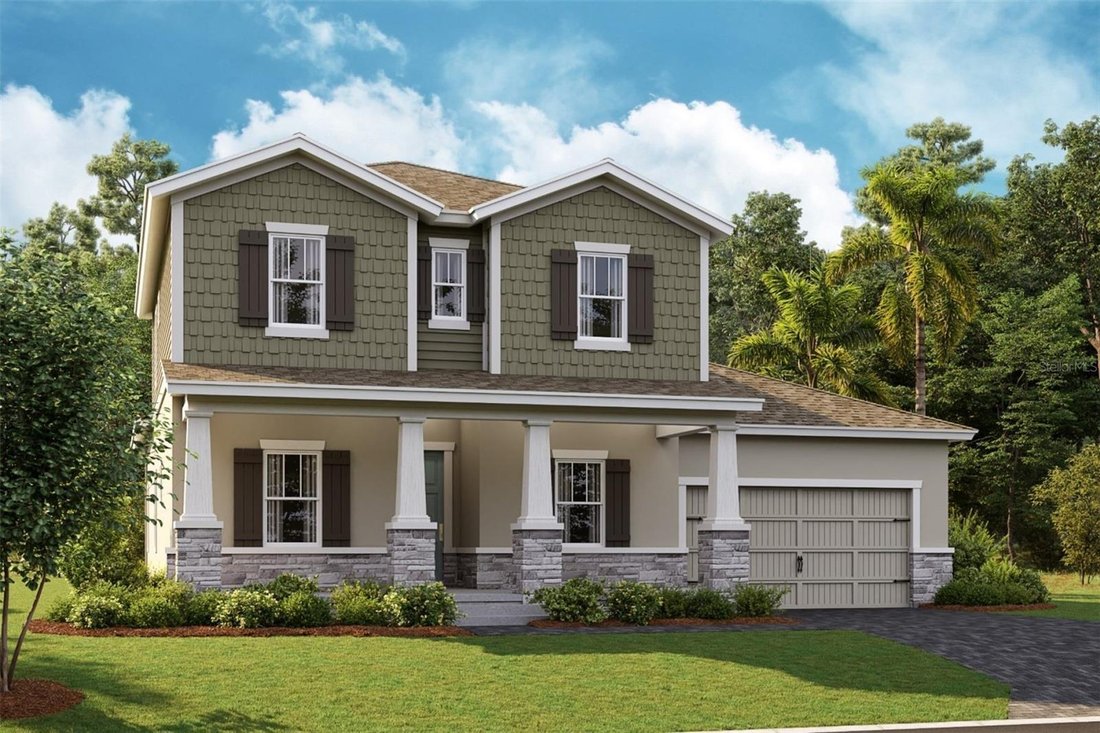House in Trinity, Florida, United States 1 - 18952247