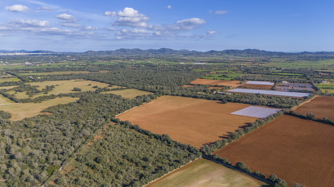 Finca in Vilafranca de Bonany, Balearic Islands, Spain 5 - 18953814