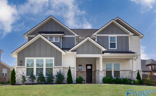 House in Owens Cross Roads, Alabama, United States 1