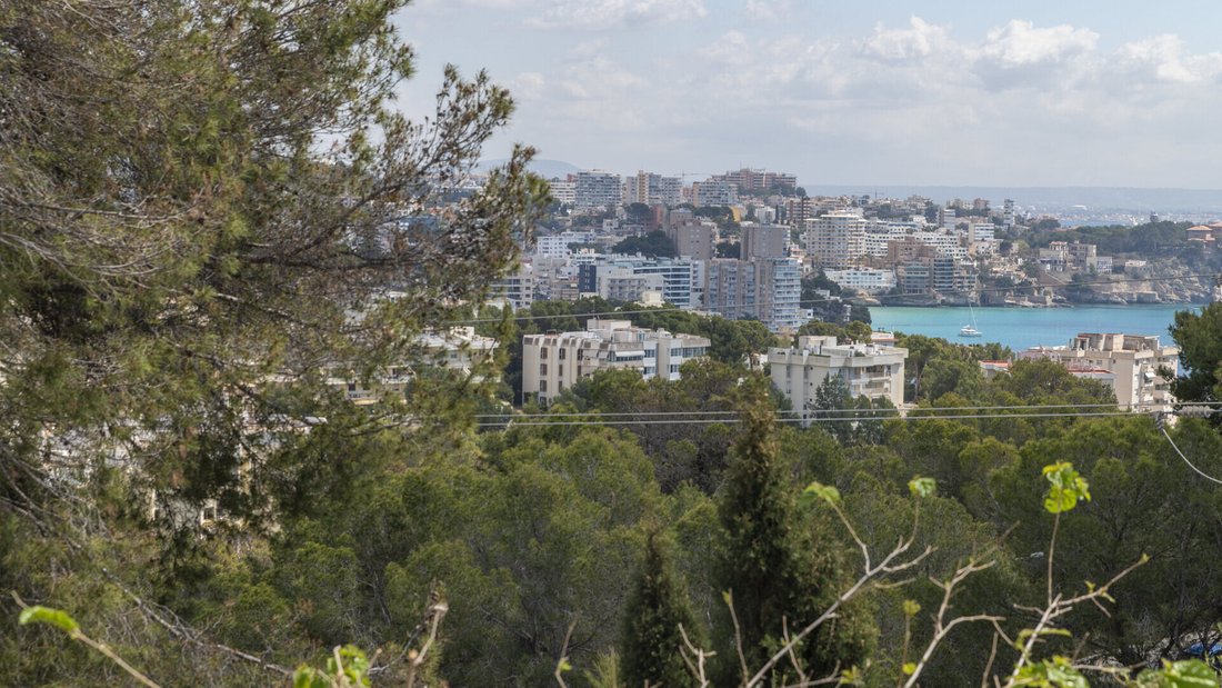 Villa in Calvia, Balearic Islands, Spain 3 - 18950213