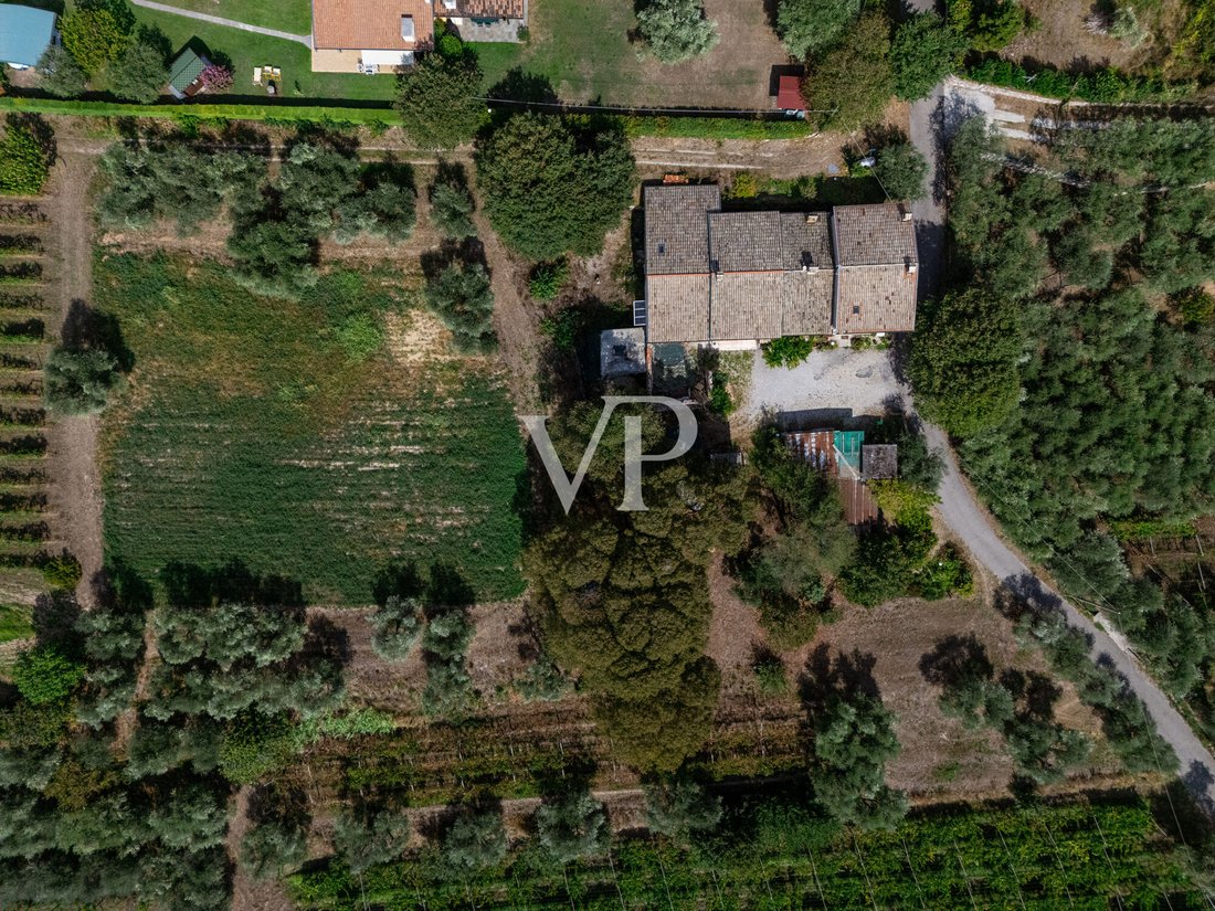 House in Bardolino, Veneto, Italy 5 - 18950248