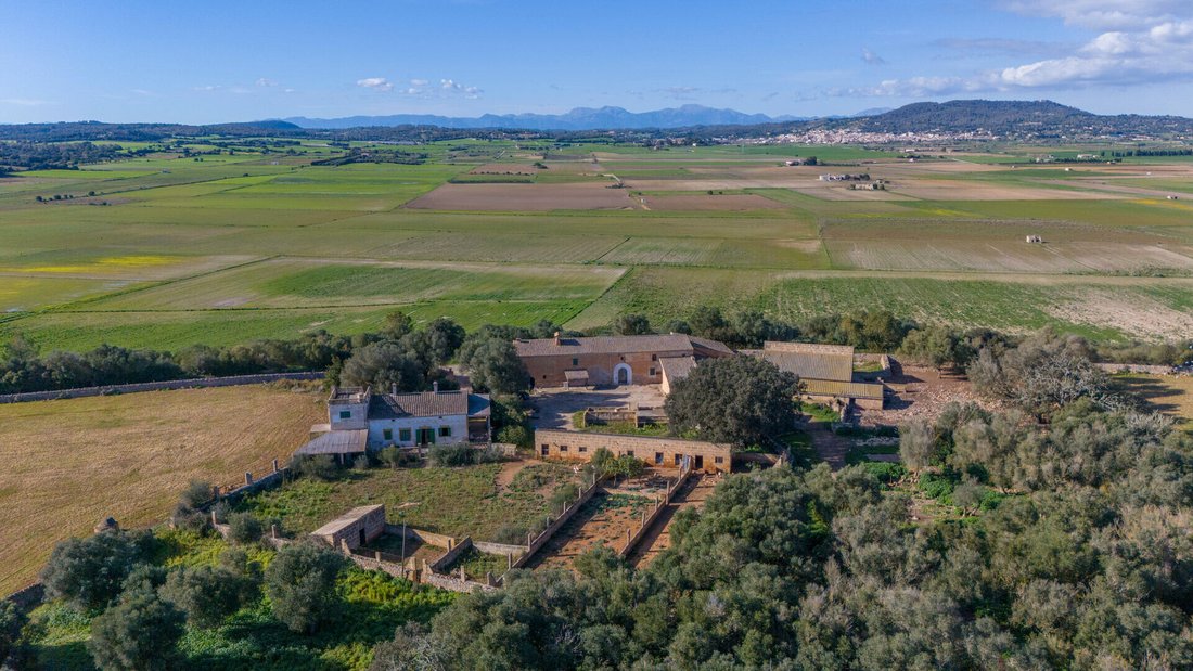 Finca in Vilafranca de Bonany, Balearic Islands, Spain 3 - 18953814
