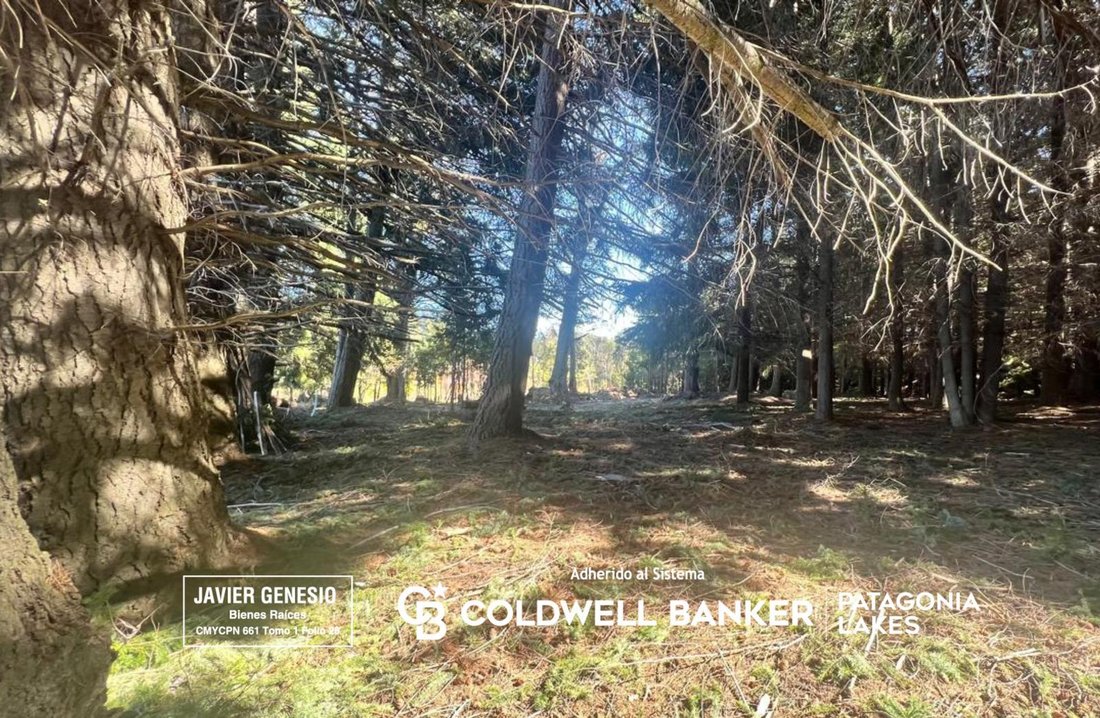 Land in Villa La Angostura, Neuquen, Argentina 5 - 18950608