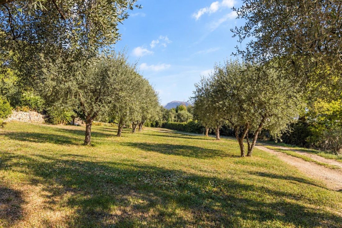 Land in Valbonne, Provence-Alpes-Côte d'Azur, France 2 - 18948752