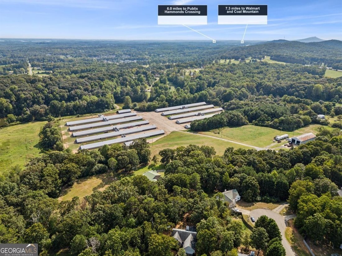 Farm Ranch in Gainesville, Georgia, United States 3 - 18954071