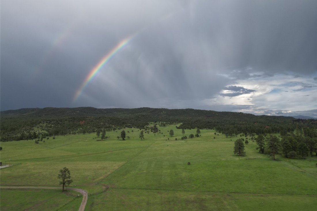 House in Mimbres, New Mexico, United States 1 - 18607585