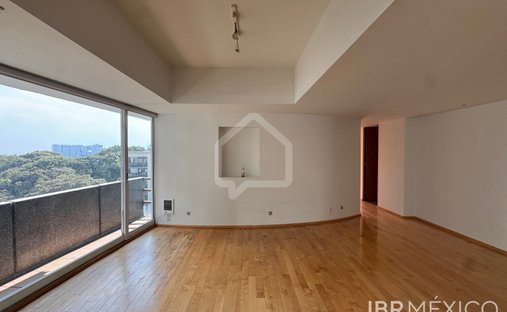 Apartment in Mexico City, Mexico 1