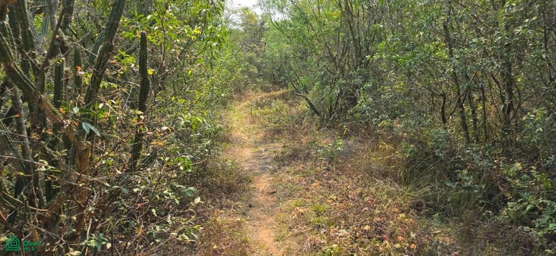 Land in Paso Pe, Cordillera Department, Paraguay 4 - 18953038