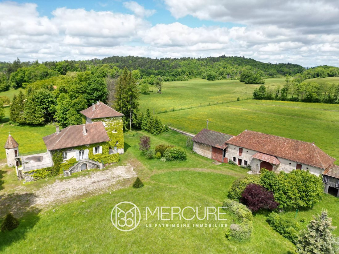 Estate in Oyonnax, Auvergne-Rhône-Alpes, France 1 - 18949539
