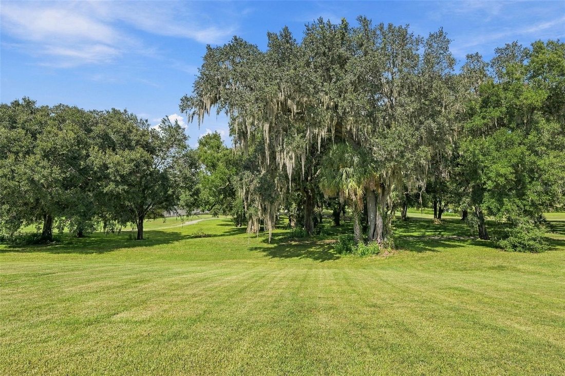 House in Dade City, Florida, United States 4 - 18952285