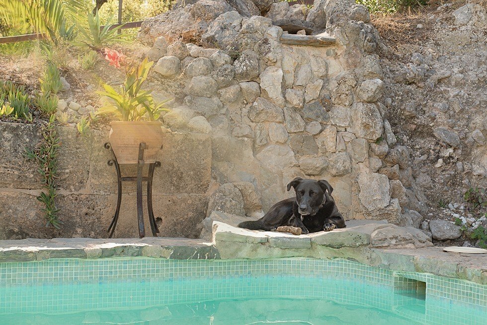 Country House in Bunyola, Balearic Islands, Spain 2 - 18955004