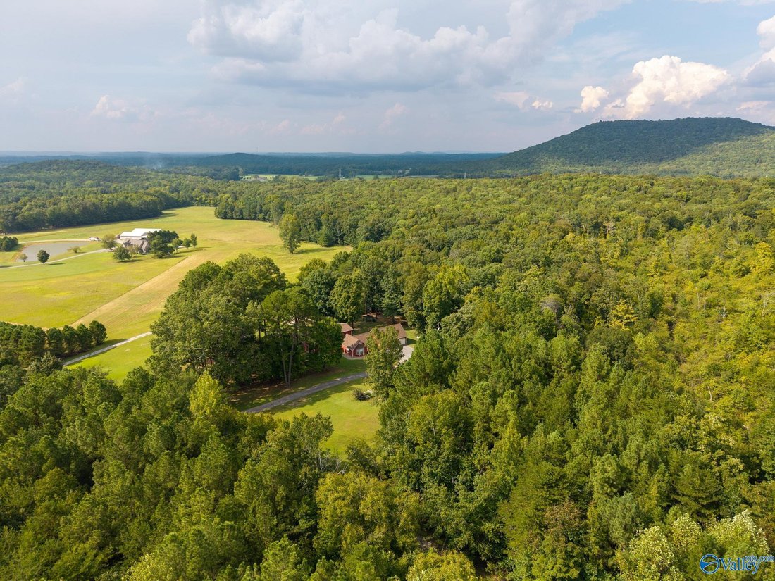 House in Laceys Spring, Alabama, United States 5 - 18951865