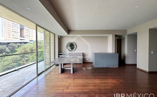 Apartment in Mexico City, Mexico 1