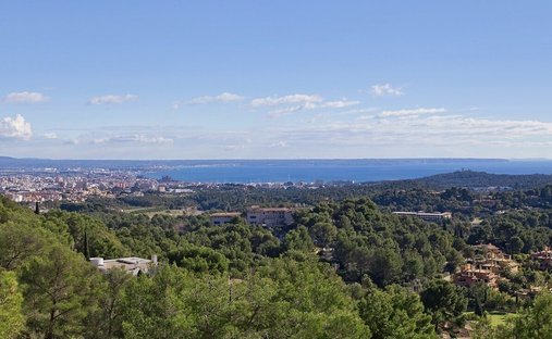 Land in Palma, Balearic Islands, Spain 1