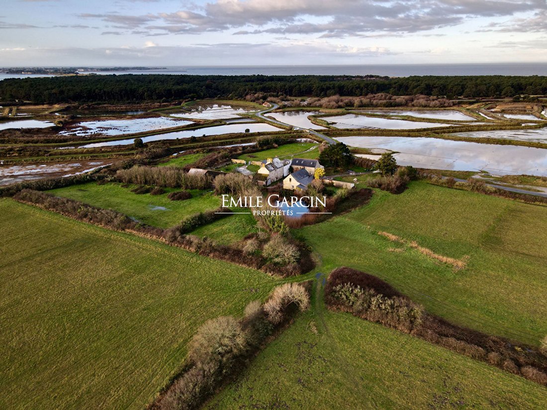Villa in Guérande, Pays de la Loire, France 4 - 18955074