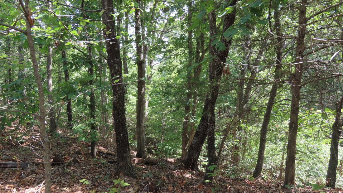 Land in Tahlequah, Oklahoma, United States 3 - 18950870