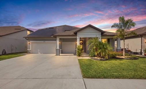 House in Wesley Chapel, Florida, United States 1