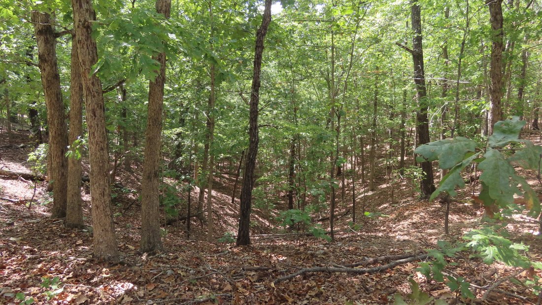 Land in Tahlequah, Oklahoma, United States 2 - 18950870
