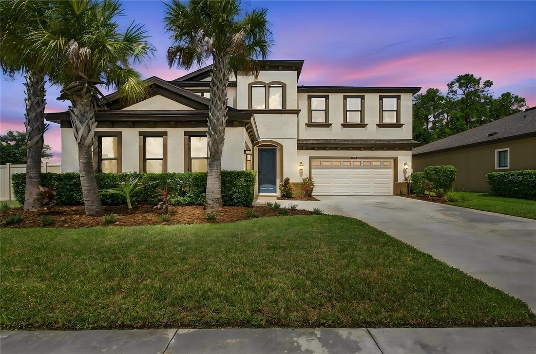House in Land O' Lakes, Florida, United States 1 - 18952268