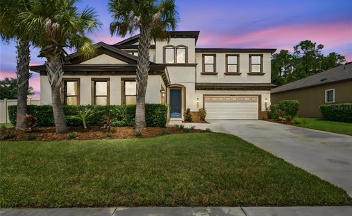 House in Land O' Lakes, Florida, United States 1
