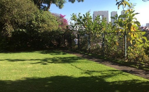 Land in Mexico City, Mexico 1
