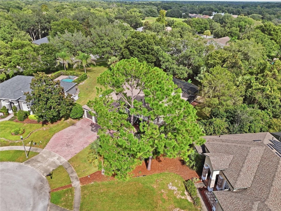 House in Apopka, Florida, United States 4 - 18949085