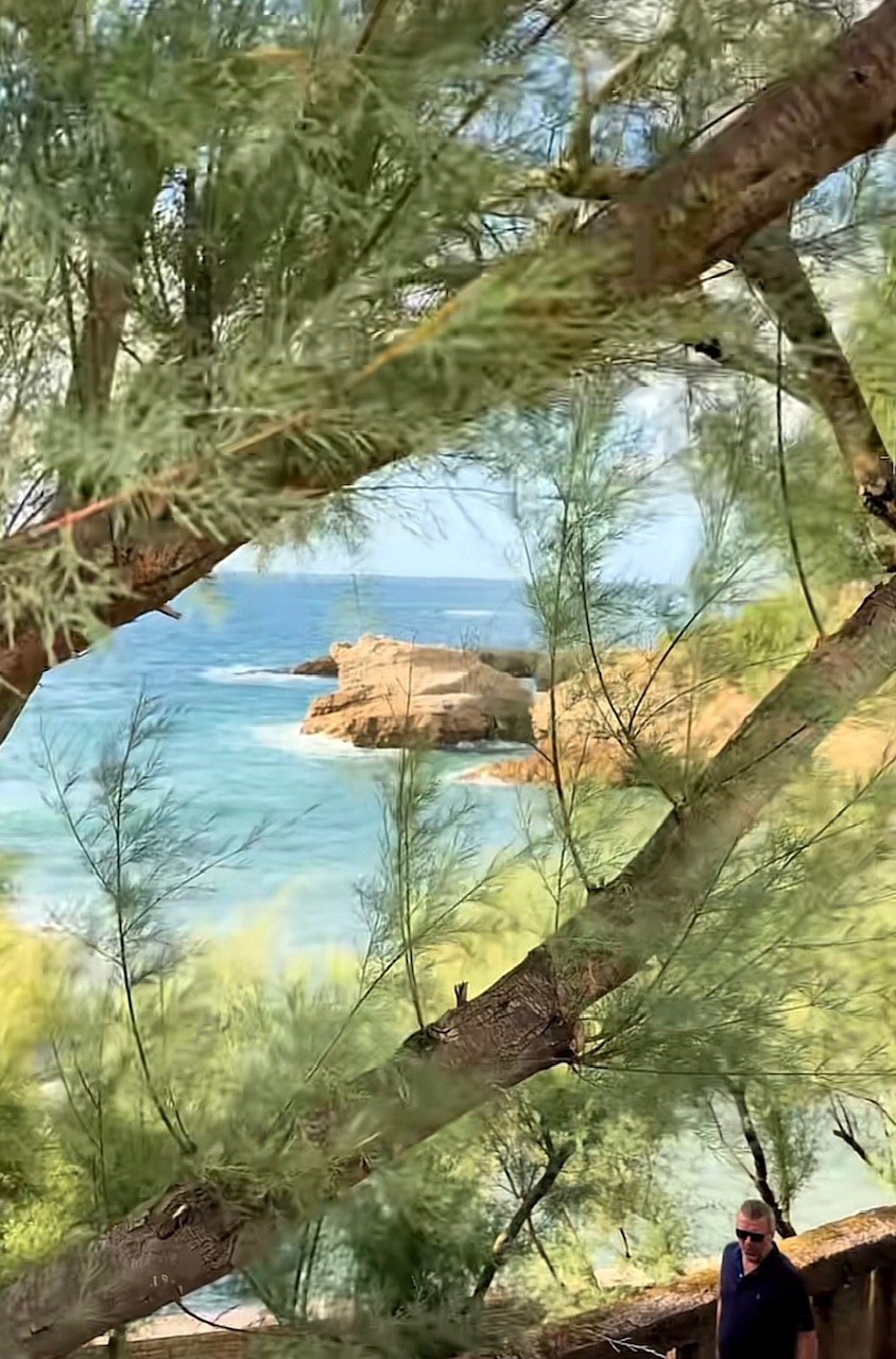 House in Biarritz, Nouvelle-Aquitaine, France 5 - 18953334