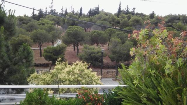 Estate in South Athens, Attica, Greece 3 - 18952584
