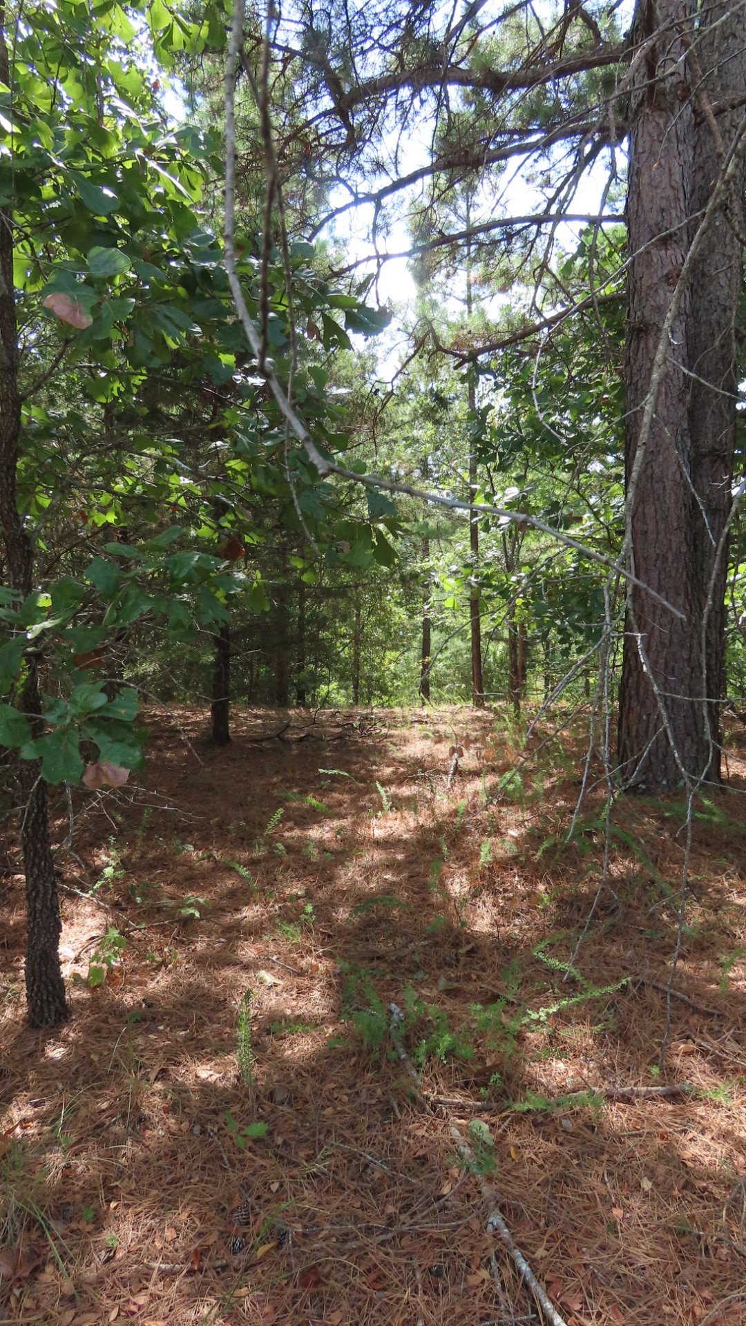 Land in Tahlequah, Oklahoma, United States 5 - 18950870