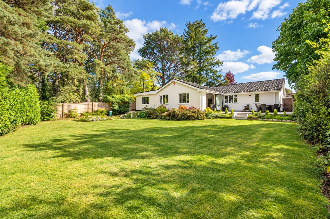 Bungalow in New Forest, Lyndhurst, England 3 - 18952196