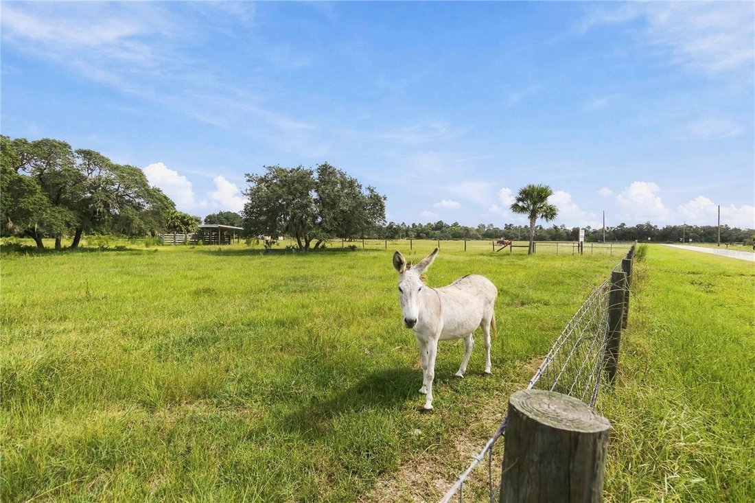 Land in Astatula, Florida, United States 1 - 18954091