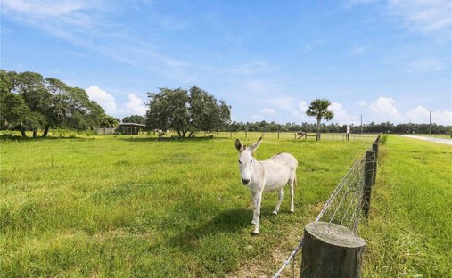 Land in Astatula, Florida, United States 1