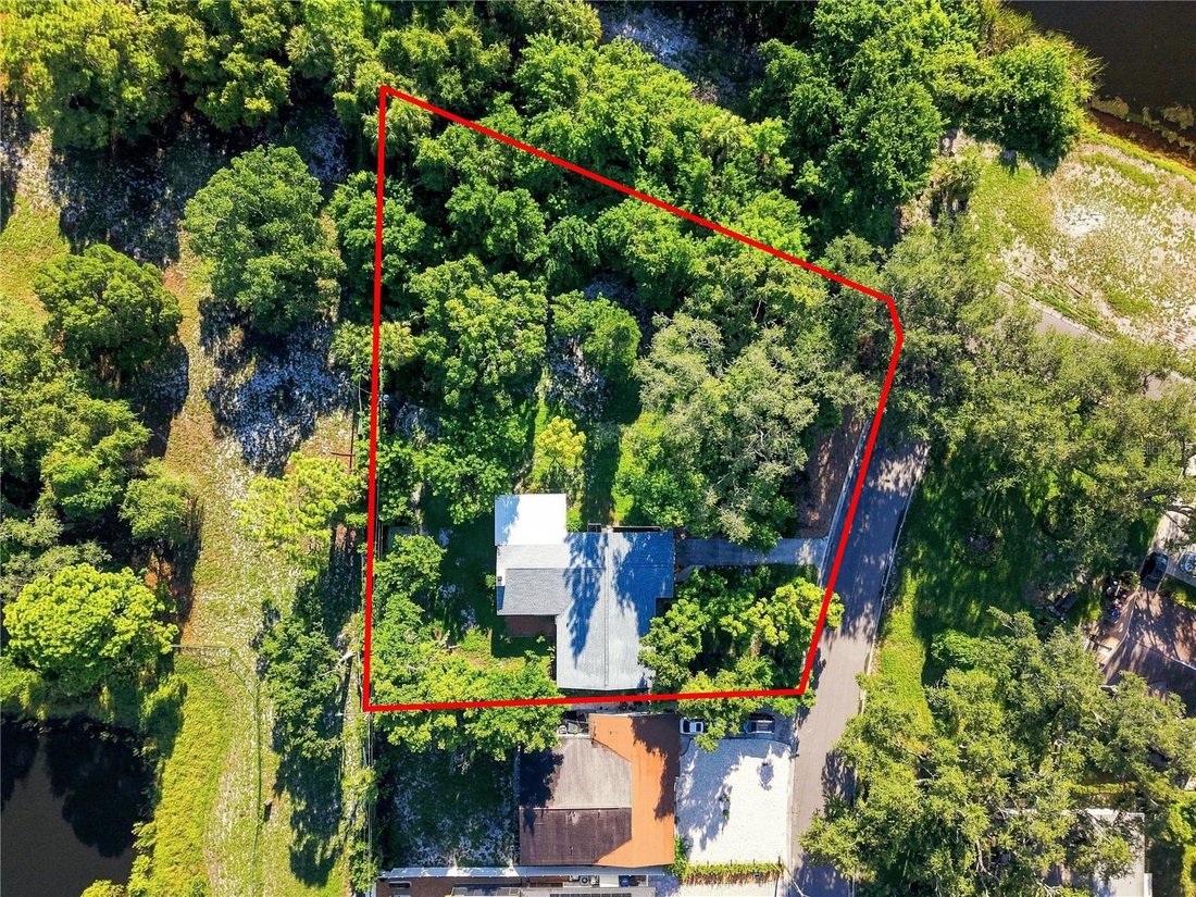 House in St. Petersburg, Florida, United States 2 - 18955258