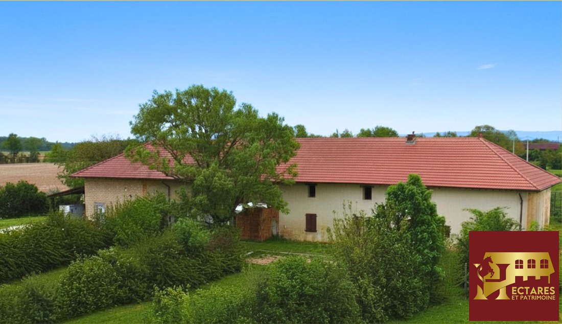 House in Foissiat, Auvergne-Rhône-Alpes, France 5 - 18949797