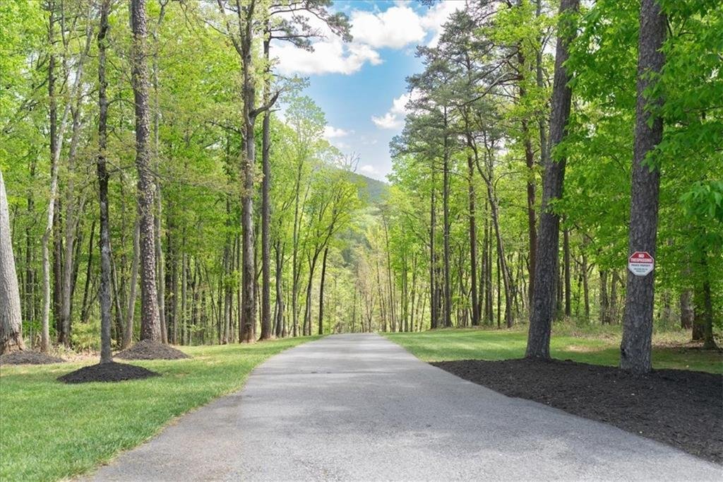 Land in Jasper, Georgia, United States 4 - 18954450