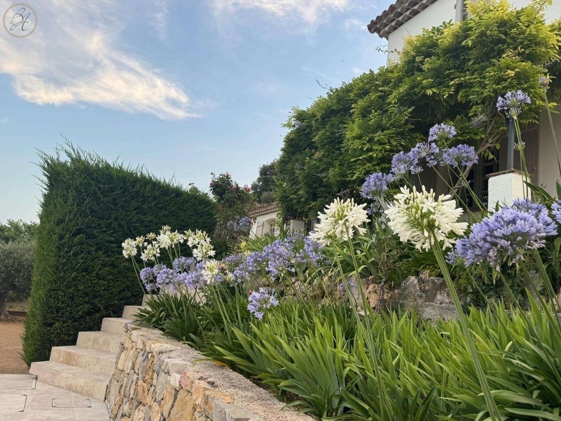 Villa in Grasse, Provence-Alpes-Côte d'Azur, France 5 - 18953882