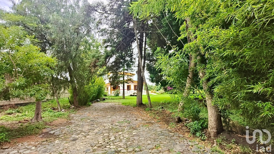 Farm Ranch in Solares de Tenextepec, Puebla, Mexico 2 - 18948997