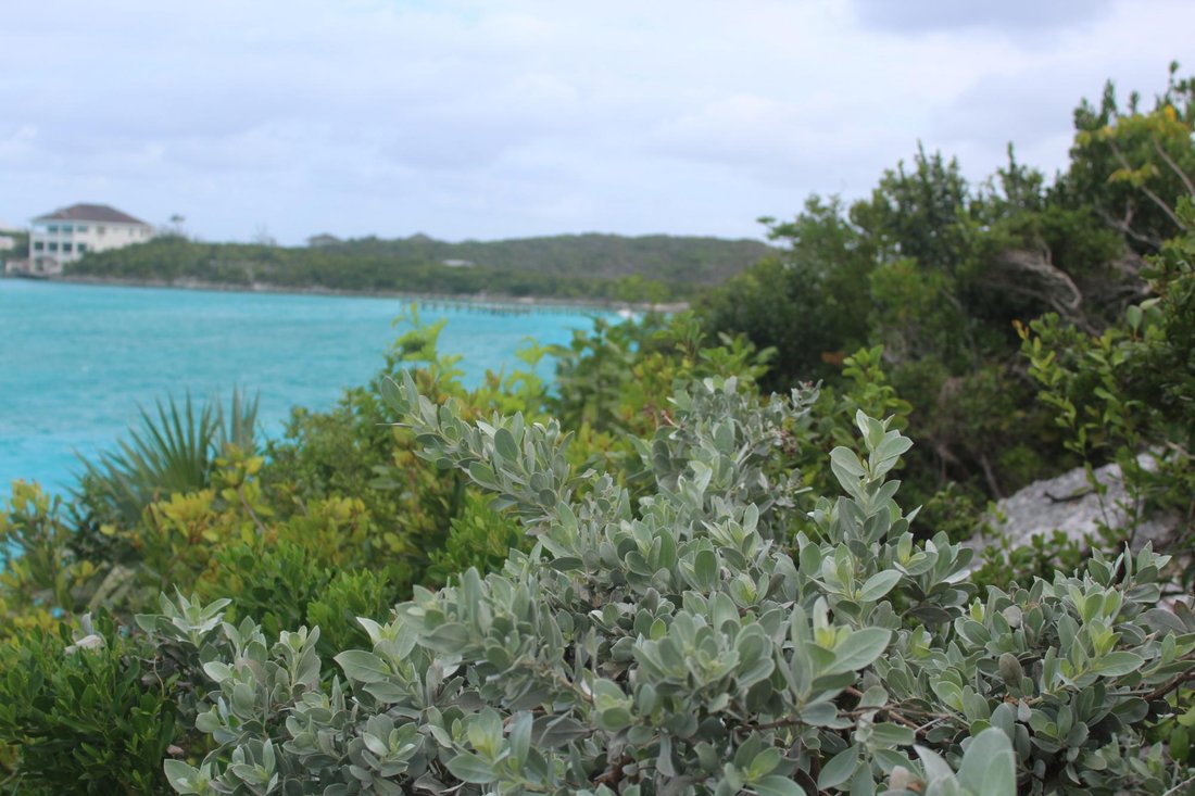 Land in Black Point, Black Point, The Bahamas 1 - 18955257