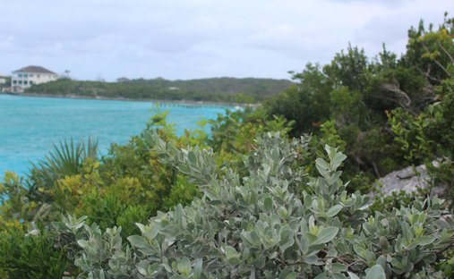 Land in Black Point, Black Point, The Bahamas 1