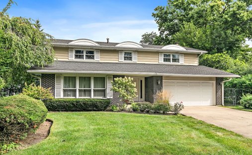 House in Mount Prospect, Illinois, United States 1