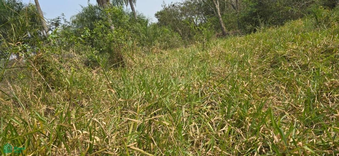 Land in Paso Pe, Cordillera Department, Paraguay 3 - 18953038