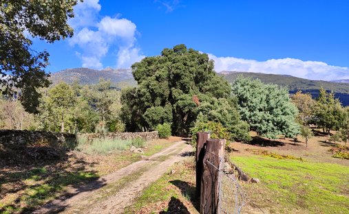Country House in Valverde de la Vera, Extremadura, Spain 1