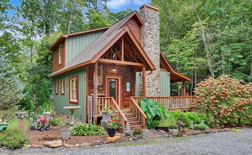 House in Hiawassee, Georgia, United States 1